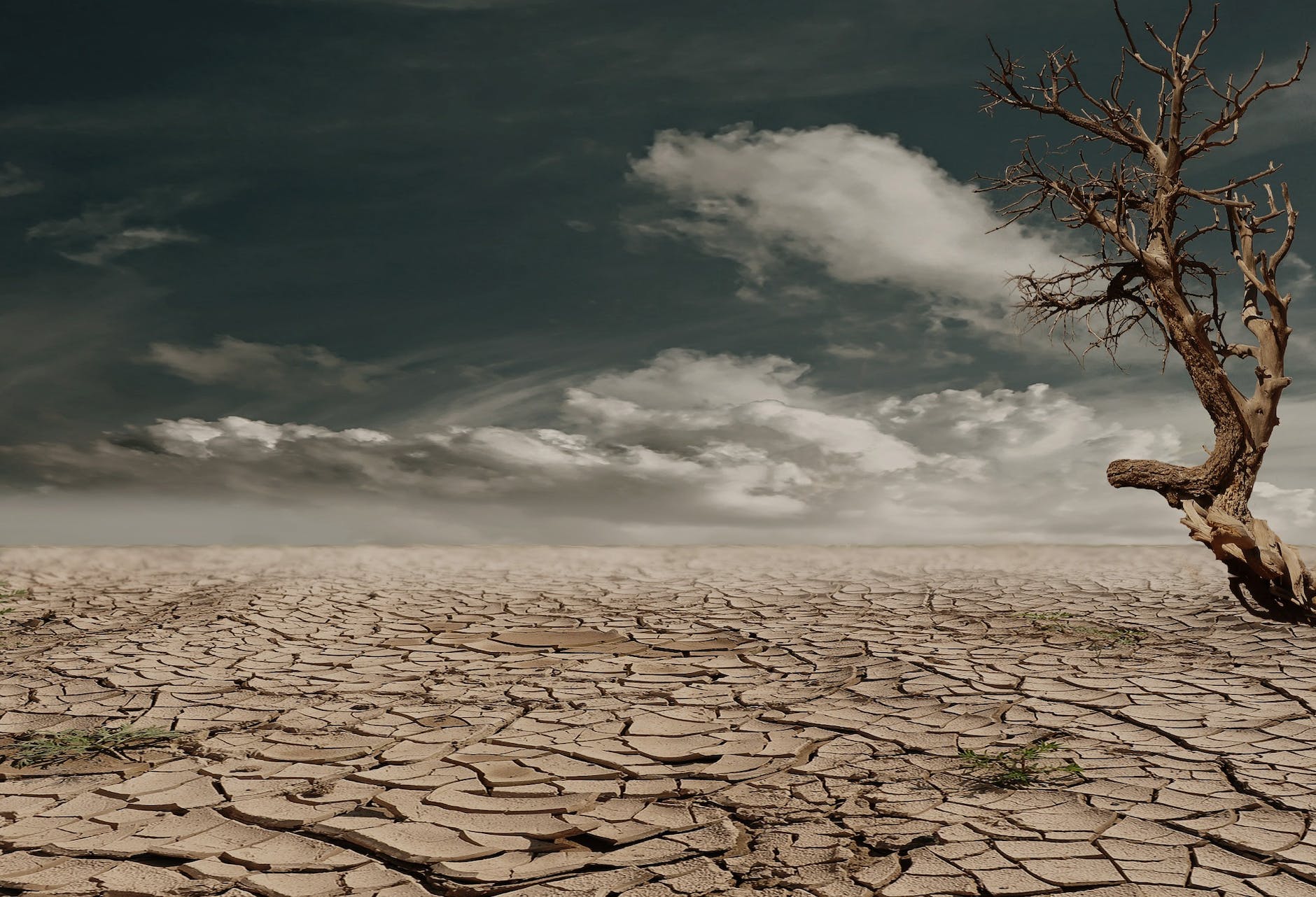 Will Men Learn To Fear the Lord Before the State Leaves Us Desolate?