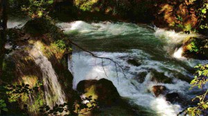 David Chilton, Paradise Restored