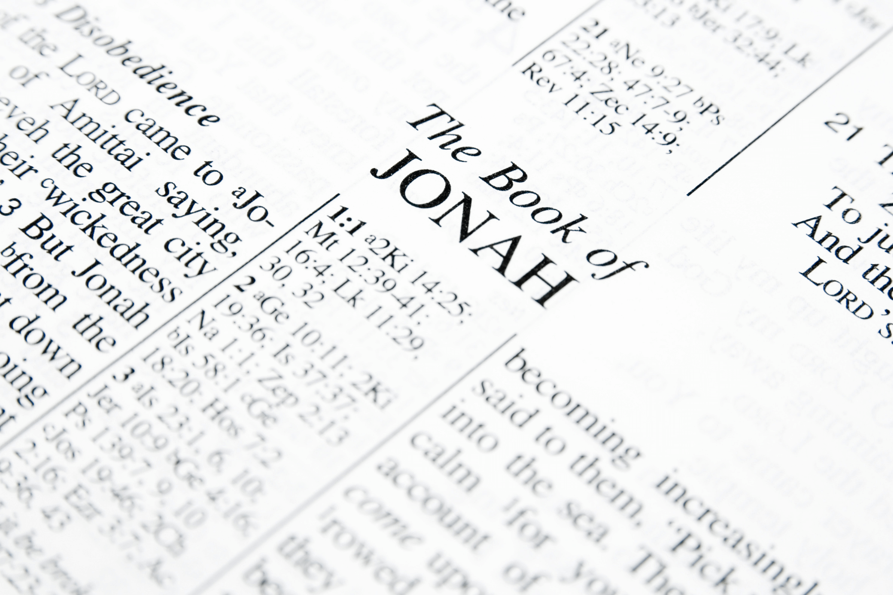 Article Series on the Book of Jonah 1 Book-of-jonah