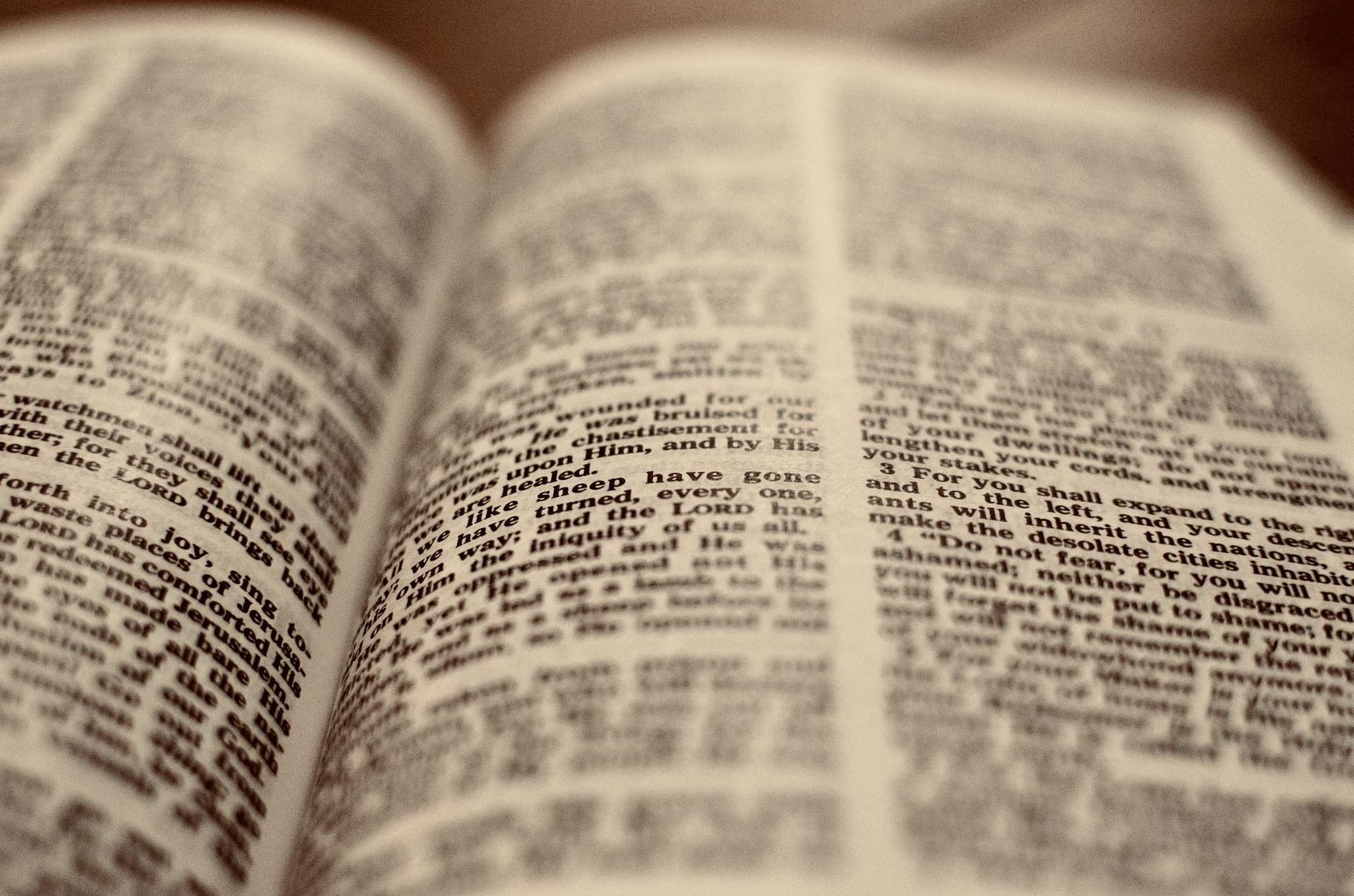 A Few Approaches to Biblical Interpretation: Patterns, Themes, Narratives, Symbolism, and Discernment